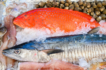 Seafood on ice at the fish market