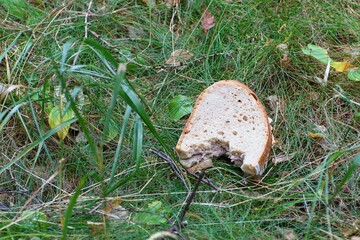 Bitten bread tossed in the meadow.