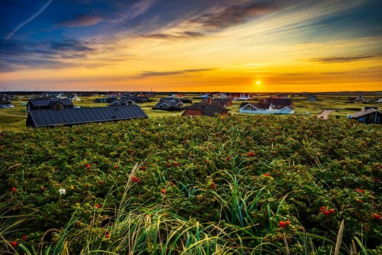 Sonnenaufgang - Ferienh&auml;user in Vrist, D&auml;nemark
