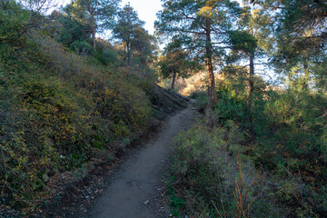 Fototapeta na wymiar The path leading to Tatsminda park, autumn