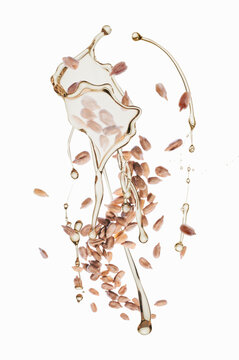 Sunflower seeds with an oil splash