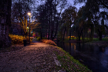 Night photo of the park in Olsztyn