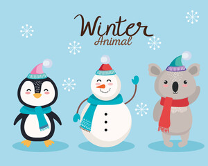 penguin snowman and koala cartoons in merry christmas season design, winter and decoration theme Vector illustration
