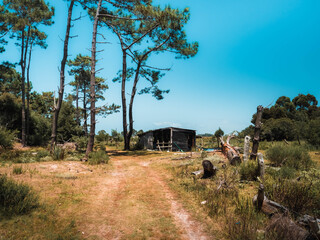 Fototapete bei efototapeten.de bestellen   
