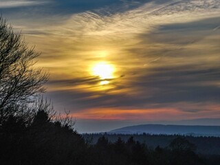Fototapeta na wymiar beautiful sunset over the trees in early winter