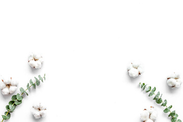 Natural flowers composition with eucalyptus branches and cotton on white background top view, copy space. Blog mockup