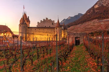 Fotobehang Aigle Castle amist autumn vineyards, Switzerland © Bogdan Lazar
