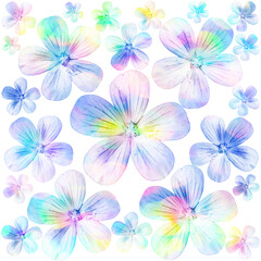 Fototapeta na wymiar Background with a composition of flowers, floral white background with multi-colored glare