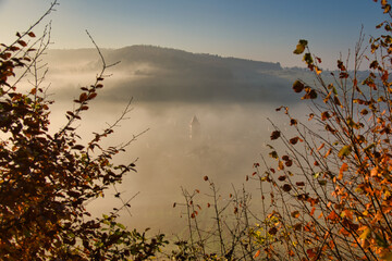 Herbstnebel in den Weinbergen der Ortenau