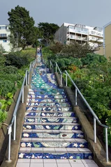 Poster San Francisco's mosaic-tiled stairway at 16th Avenue and Moraga. © Noel