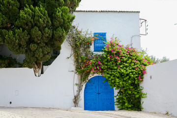 blue and white house a street in the old city of Tunis Sidi Bou said
