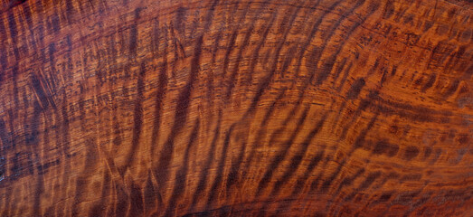Natural Burma padauk wood has tiger stripe or curly stripe grain texture background surface