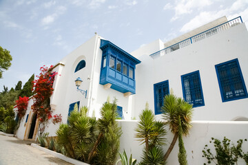 a street in the old city of Tunis Sidi Bou said