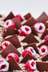 Close up sur le dessus d'un gâteau patisserie avec des framboises glacées et des carreaux de chocolat