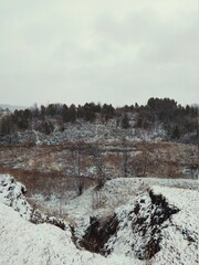 the first snowfall among trees and bushes in a mountainous area against a gray sky