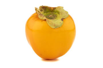 Kaki sobre fondo blanco.