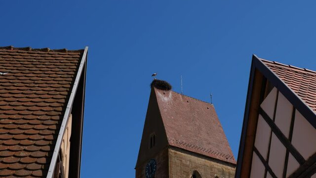 Stork at large nest on top of tower, old building in small Alsatian town. Bird stand still then move head, hand held low angle shot. Other houses roofs seen at left and right