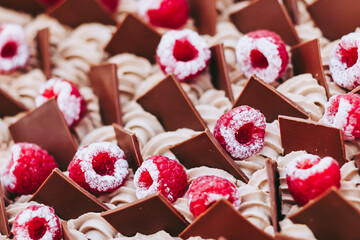 Close up sur le dessus d'un gâteau patisserie avec des framboises glacées et des carreaux de chocolat