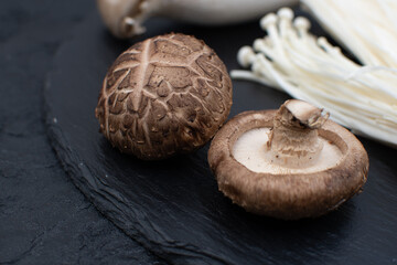 Close up shiitake mushrooms, copy space