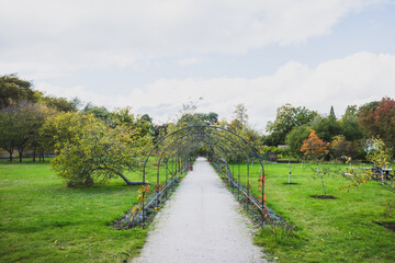 Fototapeta na wymiar Path in garden near Bishops Park, Fulham, London, UK