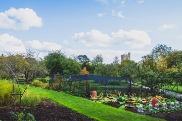 Garden near Bishops Park in Fulham, London, UK