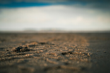 A macro photograph of  the beaches around the Hilbre Islands.