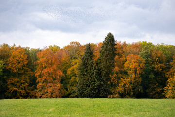 Goldener Oktober