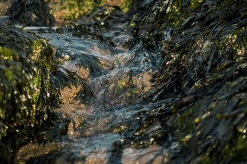 The tides receding from the Hilbre Islands.