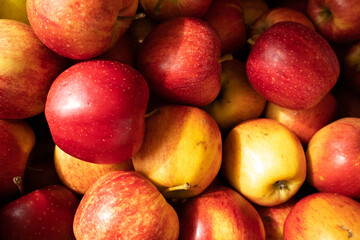 red and yellow apples