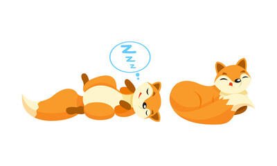 Cute Orange Fox Cuddling and Sleeping Vector Set