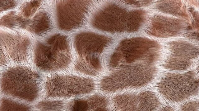 Giraffe fur animated texture, slow motion, 3D generated.