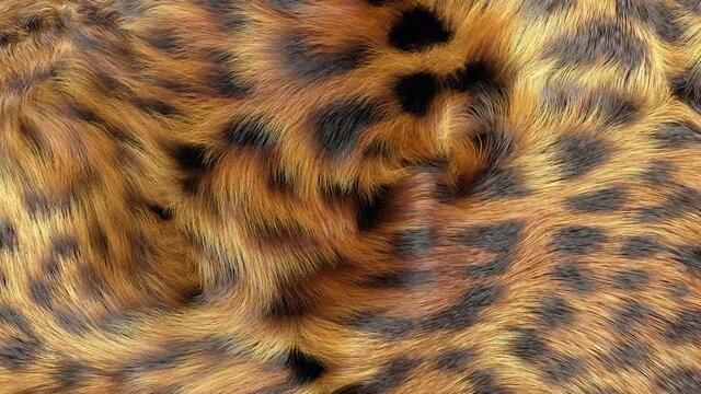 Jaguar fur animated texture, close up, slow motion, 3D generated.
