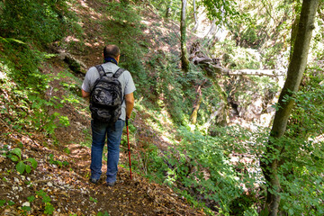 hiker in the woods trekking in Varo della Spina to Montella Avellino
