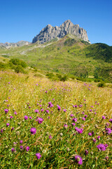 Obraz premium Senderista. Valle de Tena.Pirineos.Huesca.Cordillera pirenaica.España.
