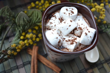 Cup of hot cocoa with marshmallows and cinnamon on wooden background. Sprig of mimosa for decoration. Concept of spring mood and fragrant drink. View from above.