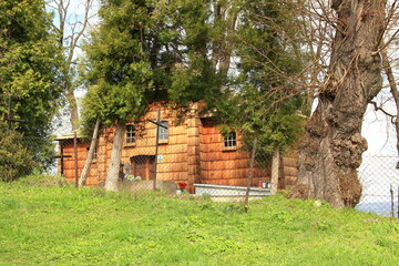 Kruhel Wielki © woodyd