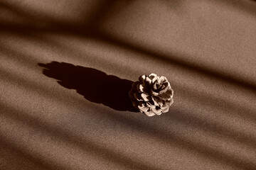 cone and lines from the shadows on the fabric