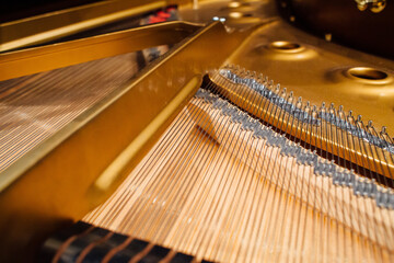 close-up of piano, grand piano plate with strings, the orchestra's inventory can be seen in the reflection of the piano cover