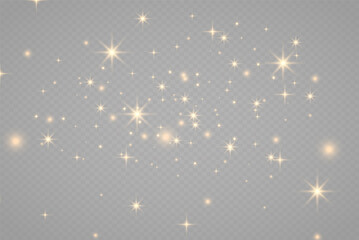 Fototapeta na wymiar The dust sparks and golden stars shine with special light. Vector sparkles on a transparent background. Christmas light effect. Sparkling magical dust particles.