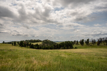 Fototapeta premium Rolling Fields Spread Across Black Hills