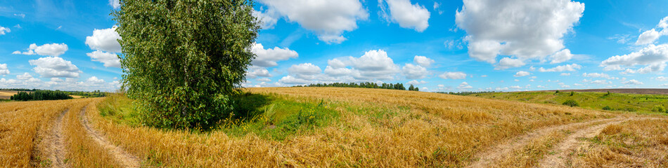 Sunny summer panoramic landscape with farm fields