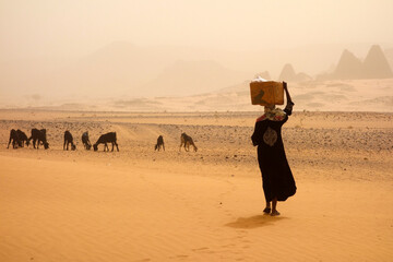 Dreamy desert landscape somewhere in Sudan, Africa. - obrazy, fototapety, plakaty