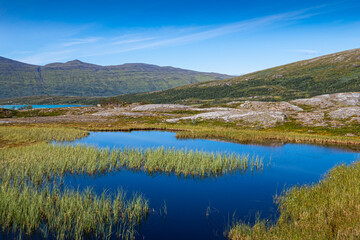 Moor in the fjell in Sweden