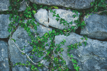 stone wall background