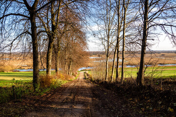 Jesień w Biebrzańskim Parku Narodowym, Podlasie, Polska © podlaski49