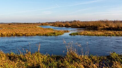 Jesień w Biebrzańskim Parku Narodowym, Podlasie, Polska © podlaski49