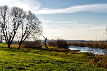 Jesień w Biebrzańskim Parku Narodowym, Podlasie, Polska © podlaski49