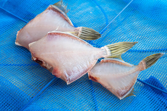 Black Scraper Images Browse 80 Stock Photos Vectors And Video Adobe Stock