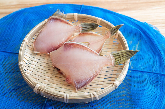 Black Scraper Images Browse 80 Stock Photos Vectors And Video Adobe Stock