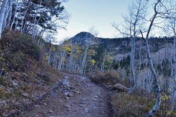 White Pine Lake Trail mountain landscape scenic towards White Baldy and Pfeifferhorn hiking trail in Little Cottonwood Canyon, Wasatch Rocky mountain Range, Utah, United States. 